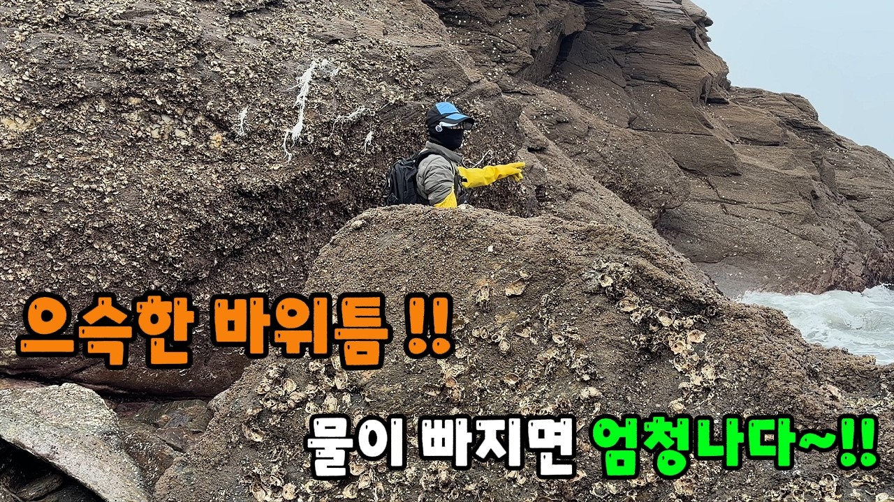 으슥한 바위틈 ~ 물이 빠지면 엄청나다 ~!!