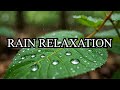 30 Minutes of Soothing Rain Sounds