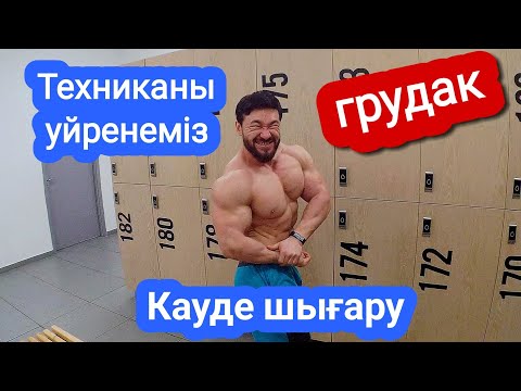 Бейне: Төменгі кеуде бұлшық еттерін қалай құруға болады