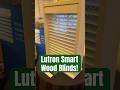 Smart Wood Blinds from Lutron! #smarthome #ces2026