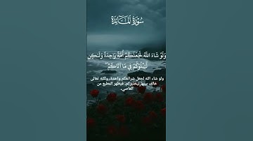#قرآن كريم_ صوت سعد الغامدي_مقطع من سورة المائده