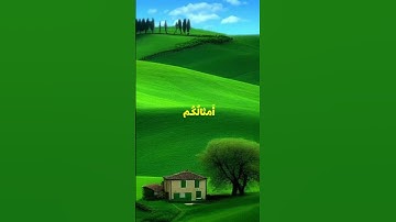 سورة الأعراف #القران_الكريم #راحة_نفسية #اكسبلور #الرحمن #لايك #المصحف #حالات_واتس