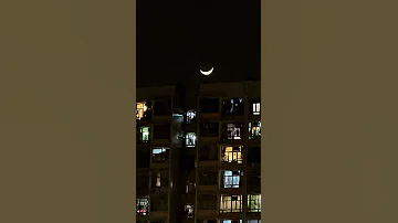 I Love Moon Talkingtothemoon Hongkong Short2025 Moonlight 