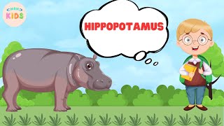 Hippopotamus Facts For Kids 🤠 Learn All About Hippos | MON Kids