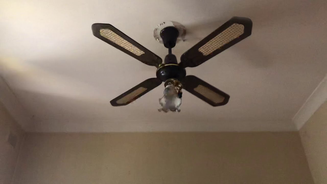 Me cleaning martec ceiling fan YouTube