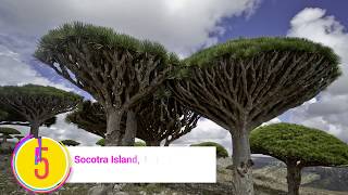 Top 10 best tourist places in Yemen