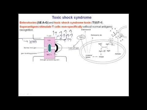 Video: Pathogenesis Of Infectious Toxic Shock - Stages Of Infectious Toxic Shock