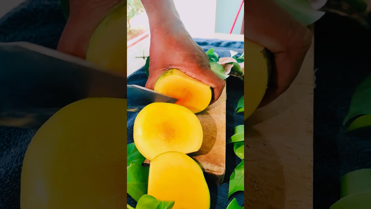 Sweet mango #