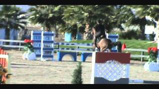 Jenny Carbonari & Wallstreet