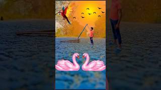 creative photography ideas 😱 #akashmijaji #photography #shorts