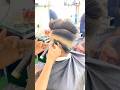 New stylish hair cutting ranu maxx youtubeshorts trending haircutting stylet hairstyle 