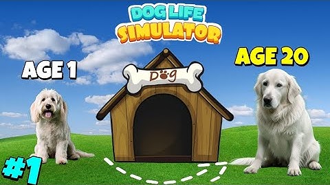 Becoming a Dog 🐕 is Super Fun 😀| Dog Life Simulator #1