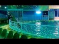عروض قرية الدولفين بالدمام 04-08-2014 Dolphin Show - Dammam