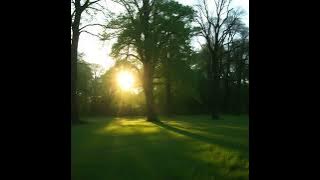 NOP - ChenYueLong (extended   remix)