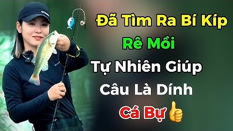 Tôi Đã Tìm Ra Bí Kíp Rê Mồi Tự Nhiên Cho Mọi Địa Hình! | Câu Cá 24H