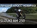 Лучший выбор новичка) Suzuki RM 250
