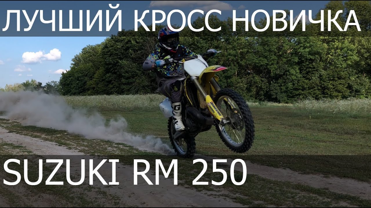 Сузуки рм 250