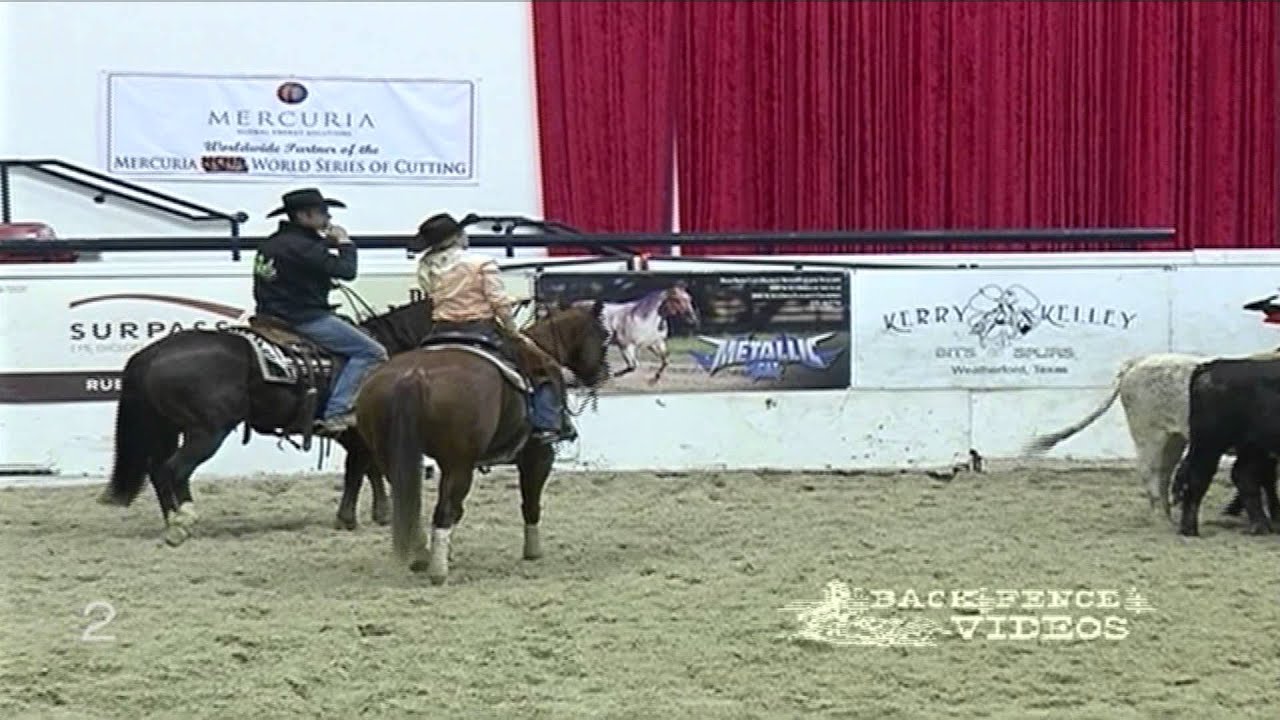 Laredo Montana - Kaitlyn Larsen - 2012 NCHA World Finals - Non-Pro - 3rd Go