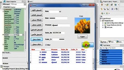 أفضل طريقة لربط صورة في قاعدة البيانات اكسس مع البرنامج دلفي║الجزء الثاني  #افكار #learn #delphi