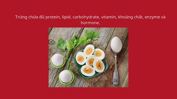 1 trái trứng có bao nhiêu protein