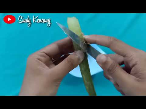 diy-cara-buat-liptint-dari-pewarna-makanan-dan-lidah-buaya