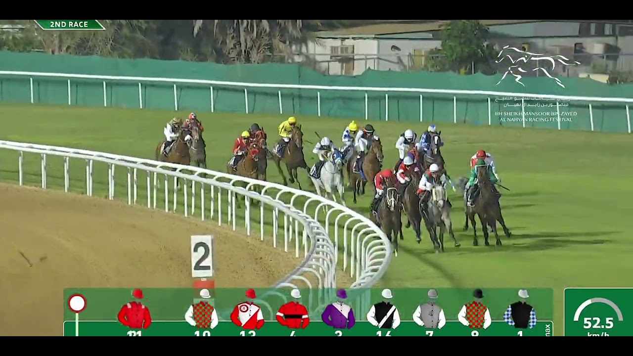 HH SHEIKH MANSOOR BIN ZAYED AL NAHYAN RACING FESTIVAL CUP - ABU DHABI EQUESTRIAN CLUB | 03/12/2023