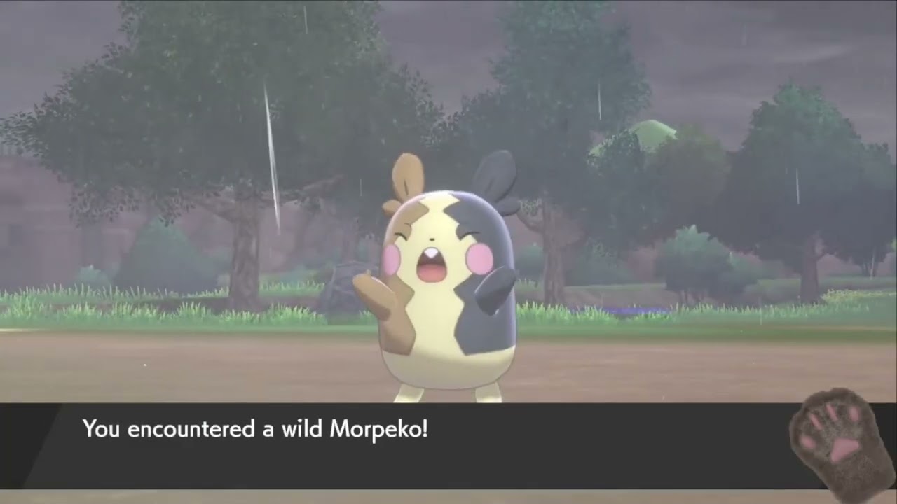 Pokemón Sword/Shield: Where to catch Morpeko
