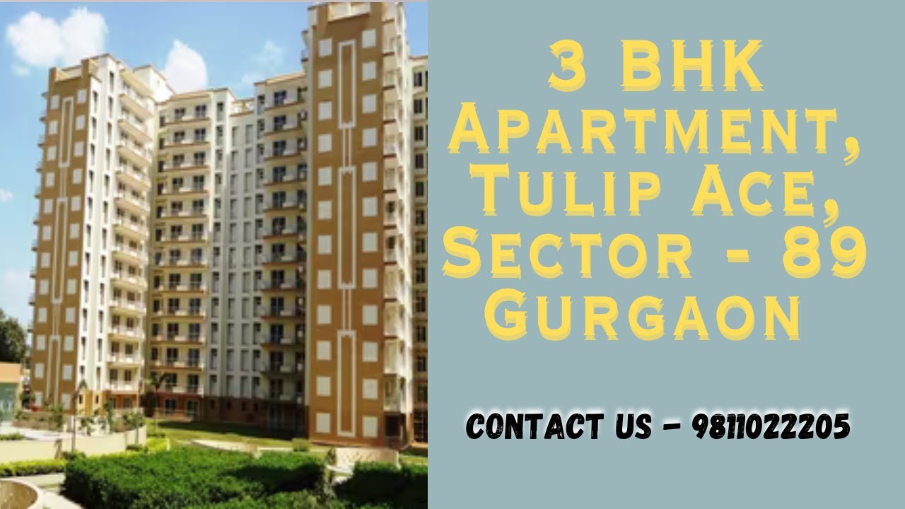 3 BHK Apartment, Tulip Ace, Sector - 89 Gurgaon | 9811022205 