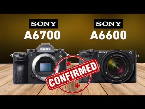 Sony A6700 vs Sony A6600 - Which is Better?