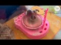 سفالگری حرفه ای