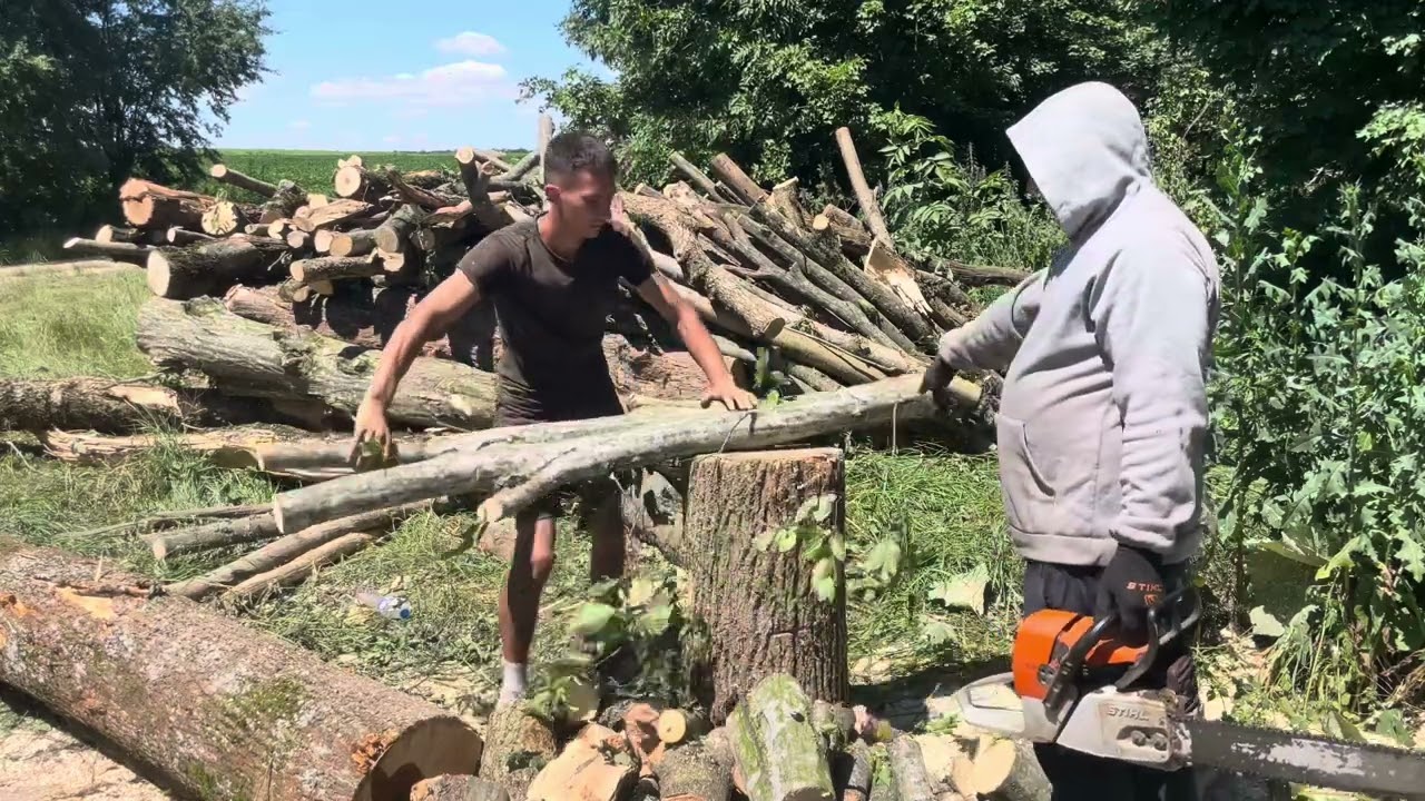 🌳І гілля уже рахують як гарні дрова🤷‍♂️