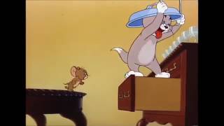 توم وجيري حلقة القطط الثلاثة رائعة جدااا