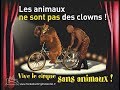 La Fondation Brigitte Bardot dénonce l'utilisation d'animaux dans les cirques (2018)