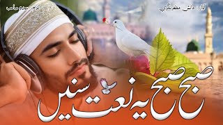 New Naat | New Naat Pak | Naatita Kalam | New Super Git Kalam | After reading Naat of the Prophet?