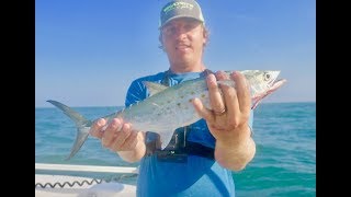 EPIC SPANISH MACKEREL FISHING OFF 'SHARK ISLAND' - CATCH CLEAN AND COOK