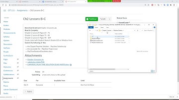 Visual Basic programming , how to extra zipped file and  to open an existing visual studio project
