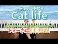 Cat life (神戸Liveトミーさん演奏ver.)（piano cover）【楽譜付き】