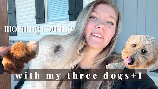 MORNING ROUTINE WITH MY THREE DOGS AND I