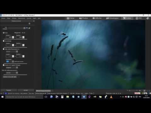Vidéo: Comment Redimensionner Sur Acdsee