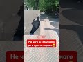 #дети #прикол #украина #вукраине #детивукраине #новости #KropOnline #новини #кіровоградщина