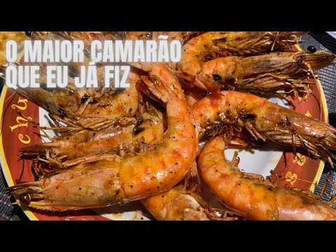 Vídeo: Onde as crevettes são capturadas?