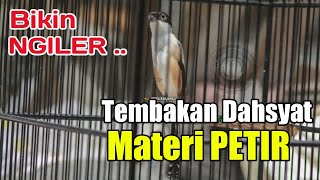 Cendet Mania Mana Yang Tidak Suka Materi Isian Seperti ini ~ Dokter Cendet