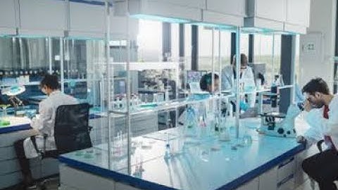 Pre analytical stage for Standard Operating Procedures