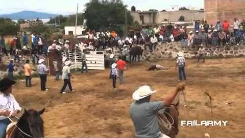 Ultimate Fails Compilation 2013 Best Fails of the Year!