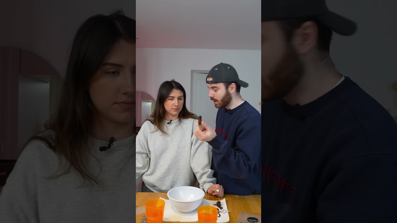 Araignée tarentule