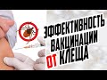 ЭФФЕКТИВНОСТЬ ВАКЦИНАЦИИ ПРОТИВ КЛЕЩЕВОГО ЭНЦЕФАЛИТА / ОТ ЧЕГО ЗАЩИЩАЕТ ПРИВИВКА ОТ КЛЕЩА