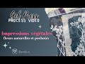 Gel Press Impressions Végétales Naturels Pochoirs Tampons mp3
