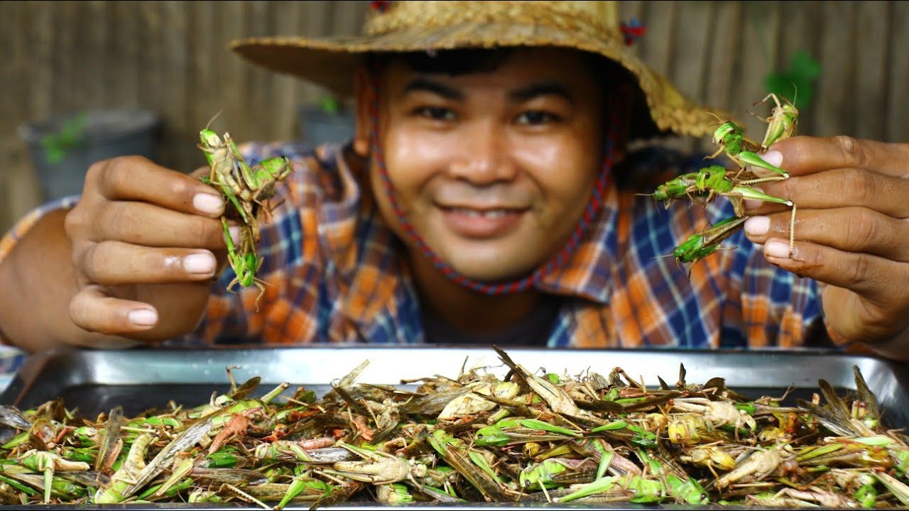Cooking Green Grasshoper Insect Recipe - Cook Grasshoper for Food ...