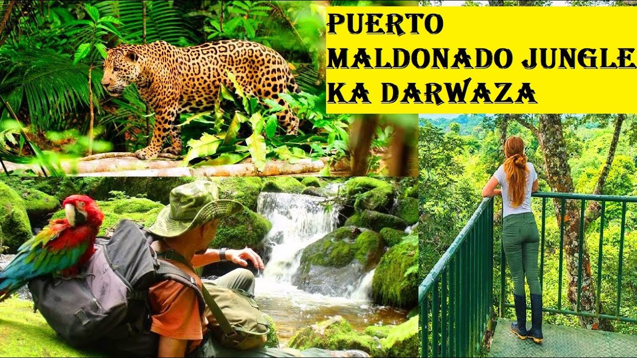 Puerto Maldonado amazon jungle ka darwaza zameen ki janat YouTube