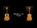 Класична гітара Flamenco Alhambra 7Fc